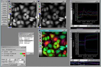 MetaMorph 高級圖像分析軟件